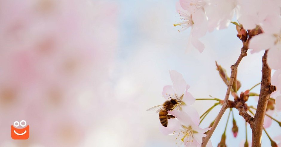 Praktische Tipps, wie Allergie-Symptome lindern