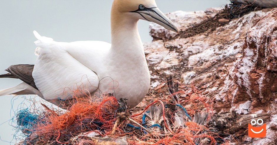 Zero Waste: Das Leben ohne Verschwendung und Abfall