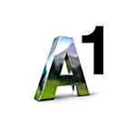 A1