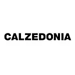 Alle Rabatte Calzedonia