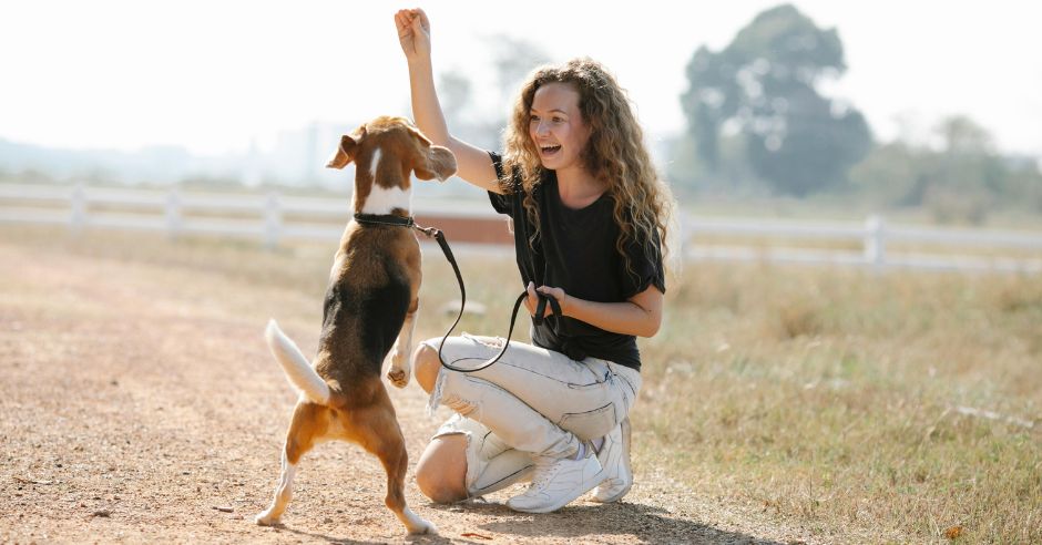 eine-frau-spielt-mit-einem-hund